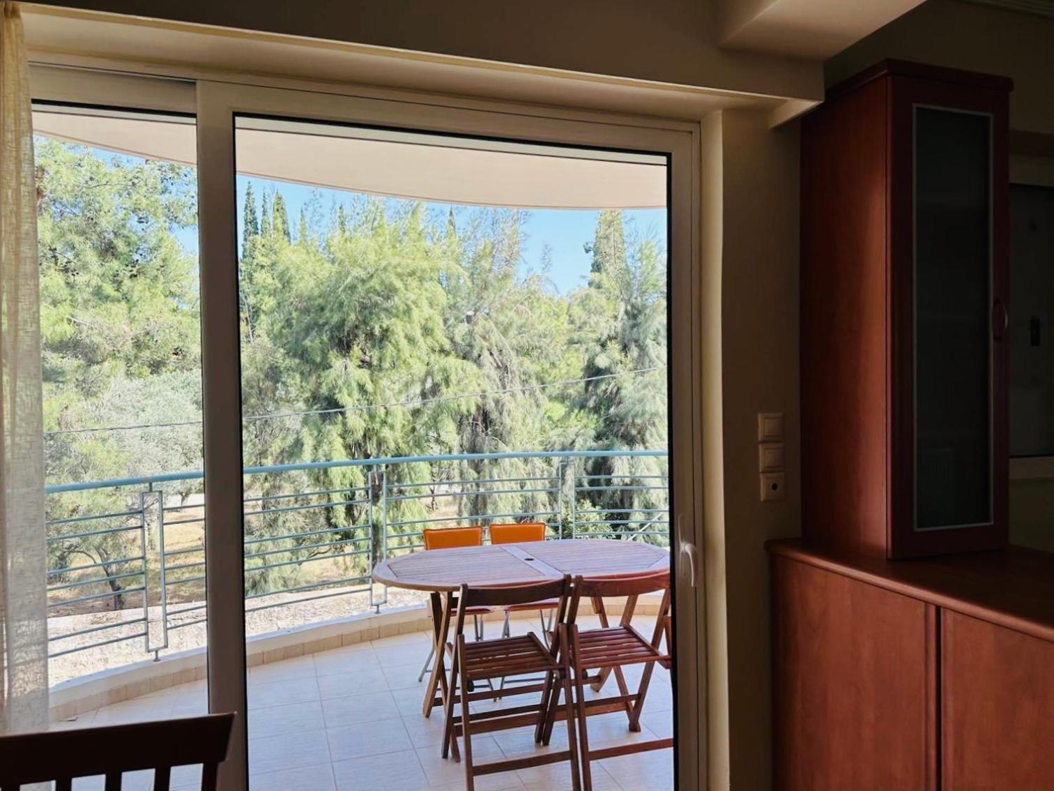 ευρύχωρο χαλάνδρι Apartment Athens